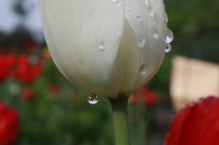 /album/fotografie/img-9469-jpg/