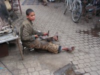 /album/fotografie/pict0250-jpg/
