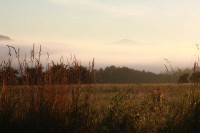 /album/fotografie/img-0203-jpg/